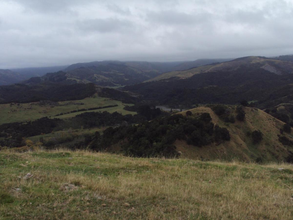 Estancia Farm Stay Masterton Exteriér fotografie